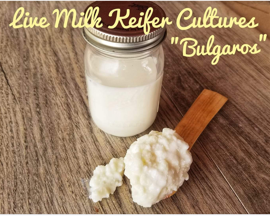 Keifer milk cultures